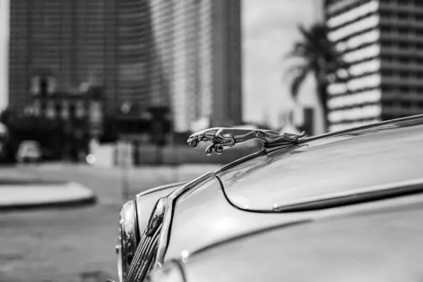 20Bets Kasino Android/iOS Aplikácia